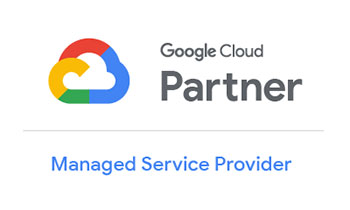 Google MSP partner